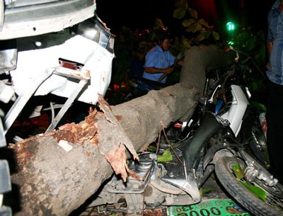 Xe rác ủi bay một sinh viên, “hạ gục” một cây bàng - 2