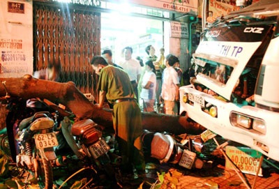 Xe rác ủi bay một sinh viên, “hạ gục” một cây bàng - 3