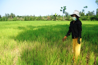 Dân mỏi mòn vì bị dự án khu du lịch “ngâm” đất - 1