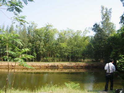 Dân mỏi mòn vì bị dự án khu du lịch “ngâm” đất - 2