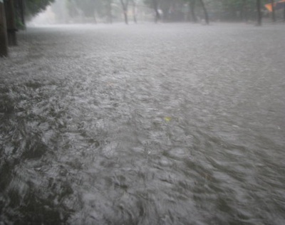 Mưa to kéo dài, thành phố Vinh chìm trong biển nước - 1