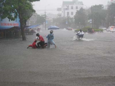 Mưa to kéo dài, thành phố Vinh chìm trong biển nước - 4