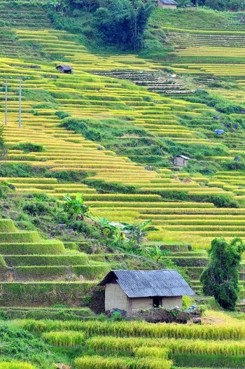 Vẻ kỳ thú “nơi con sông Hồng chảy vào đất Việt” - 5 Vẻ kỳ thú “nơi con sông Hồng chảy vào đất Việt” - 5