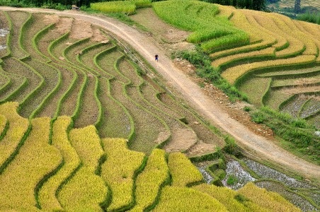 Vẻ kỳ thú “nơi con sông Hồng chảy vào đất Việt” - 10 Vẻ kỳ thú “nơi con sông Hồng chảy vào đất Việt” - 10