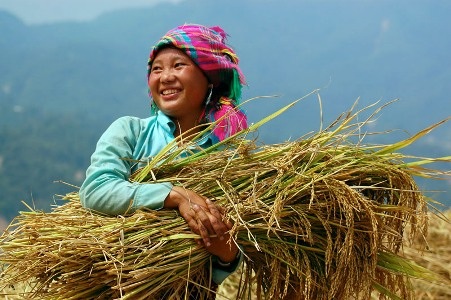 Vẻ kỳ thú “nơi con sông Hồng chảy vào đất Việt” - 9 Vẻ kỳ thú “nơi con sông Hồng chảy vào đất Việt” - 9