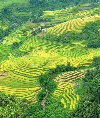 Vẻ kỳ thú “nơi con sông Hồng chảy vào đất Việt” - 3 Vẻ kỳ thú “nơi con sông Hồng chảy vào đất Việt” - 3