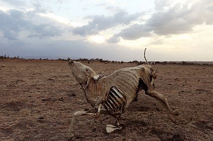 Những hình ảnh ấn tượng trong tuần  - 7