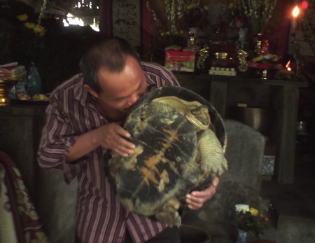 Hai “cụ” rùa bất ngờ xuất hiện ở ngôi chùa 1.600 tuổi - 3