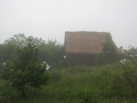 Hai “cụ” rùa bất ngờ xuất hiện ở ngôi chùa 1.600 tuổi - 4