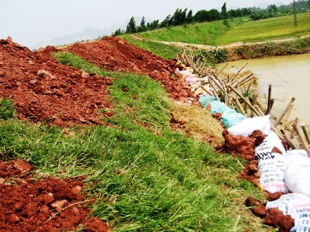 Miền Trung căng mình chống bão dữ - 7