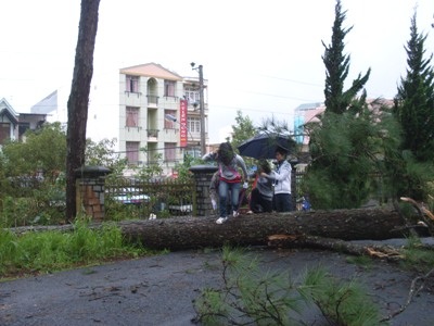 Bão hoành hành dữ dội tại miền Trung - 4