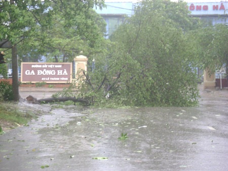 Chùm ảnh: Hiện trường nơi bão quét qua - 14