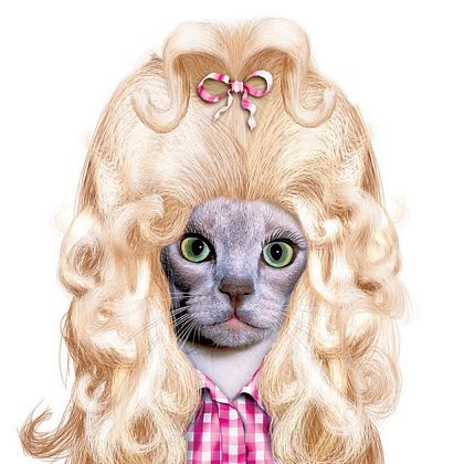 Các rocker thú cưng khoe dáng - 2 Các rocker thú cưng khoe dáng - 2