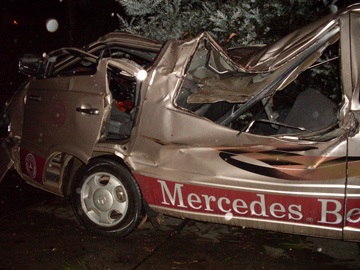 Cây đổ đè lên ô tô, 19 người bị thương - 1