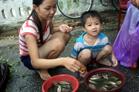 Ảnh chợ lũ trước cửa thành Nội xứ Huế - 5