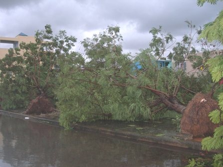 “Khúc ruột” miền Trung vật vã trong lũ - 14 “Khúc ruột” miền Trung vật vã trong lũ - 14