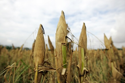 Chùm ảnh: Nơi cơn bão đi qua - 17