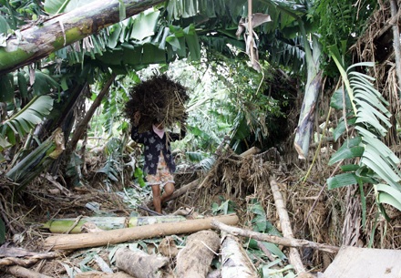 Chùm ảnh: Nơi cơn bão đi qua - 3