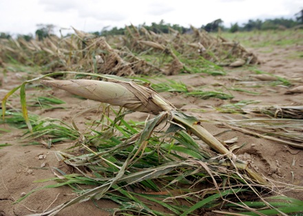 Chùm ảnh: Nơi cơn bão đi qua - 2