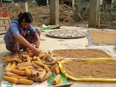 Báo Dân trí đến với đồng bào tâm bão - 7