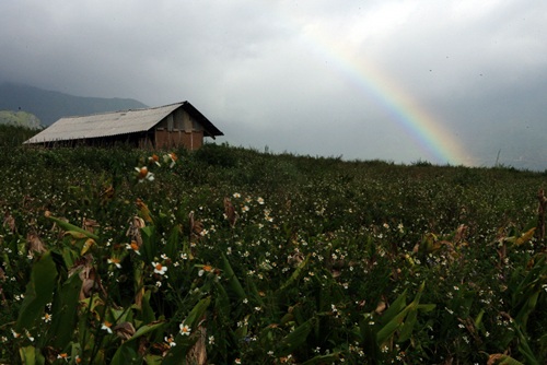 Chùm ảnh: Ngỡ ngàng với cầu vồng rực rỡ - 11