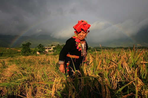 Chùm ảnh: Ngỡ ngàng với cầu vồng rực rỡ - 5