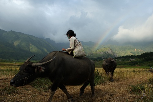 Chùm ảnh: Ngỡ ngàng với cầu vồng rực rỡ - 7