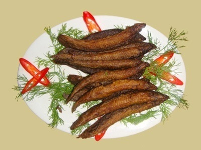 Cá chạch có lợi cho dương sự - 1 Cá chạch có lợi cho dương sự - 1