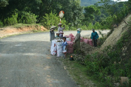 Tu Mơ Rông “oằn mình” sau bão - 5