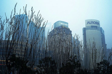 Thượng Hải trong hơi thở hiện đại - 15