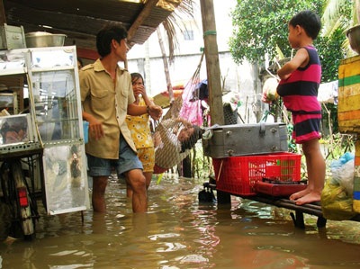 Vỡ bờ bao sông Sài Gòn, dân khốn khổ vì triều cường - 1