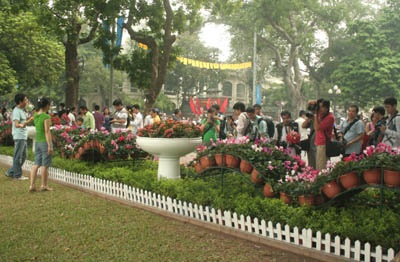 Nắng vàng, hoa tươi và sự tất tưởi của “phó nháy” - 5 Nắng vàng, hoa tươi và sự tất tưởi của “phó nháy” - 5