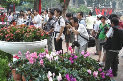 Nắng vàng, hoa tươi và sự tất tưởi của “phó nháy” - 1 Nắng vàng, hoa tươi và sự tất tưởi của “phó nháy” - 1