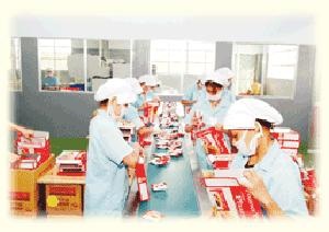 Phaner Pie và hình ảnh mới của người Việt trẻ - 2