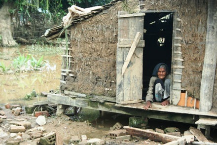 Nụ cười Ba Na sau cơn bão số 9 - 9