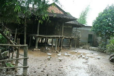 Nụ cười Ba Na sau cơn bão số 9 - 1