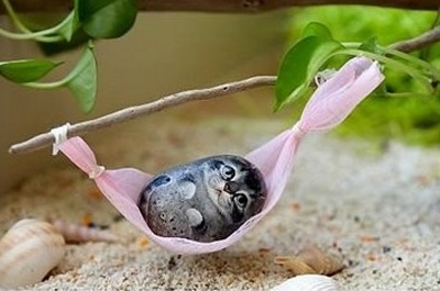 Vỏ trứng biến thành động vật đáng yêu  - 2