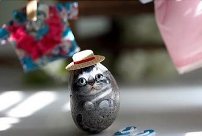 Vỏ trứng biến thành động vật đáng yêu  - 3