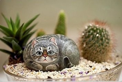 Vỏ trứng biến thành động vật đáng yêu  - 17