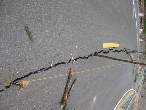 Đường “rách” sau bão số 9: Lỗi tại địa chất và khí hậu? - 2