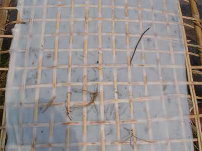 Bánh đa “chấm” bụi đường - 3 Bánh đa “chấm” bụi đường - 3