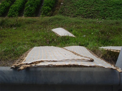 Bánh đa “chấm” bụi đường - 4 Bánh đa “chấm” bụi đường - 4