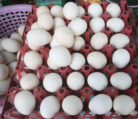 “Nghe ngóng” thị trường trứng Hà Nội - 2 “Nghe ngóng” thị trường trứng Hà Nội - 2