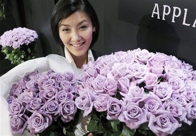 Hoa hồng xanh tham gia thị trường hoa ở Nhật - 1 Hoa hồng xanh tham gia thị trường hoa ở Nhật - 1