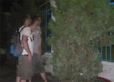 Đi nghe… hát “cọp” - 2