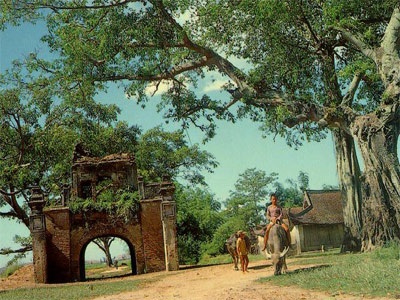 Xanh như quê nội  - 1