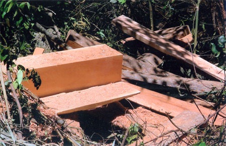 "Xẻ thịt rừng", lâm tặc hay chủ dự án? - 2