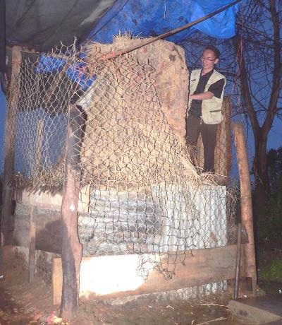 Xôn xao quanh gốc cây “lạ” ở Kon Tum - 2 Xôn xao quanh gốc cây “lạ” ở Kon Tum - 2