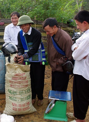 Mùa thảo quả chín rực ở Lào Cai - 8 Mùa thảo quả chín rực ở Lào Cai - 8