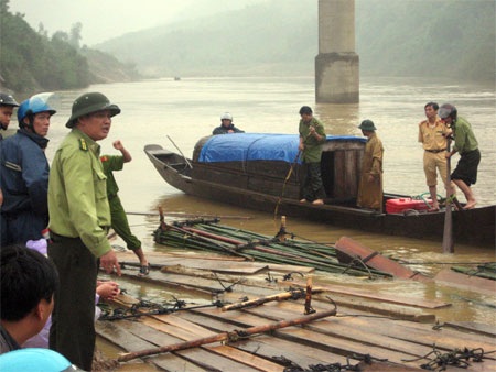 “Kỳ án” gỗ lậu vượt sông Gianh - 2